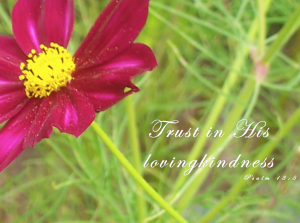 Trust in His Lovingkindness Psalm 13:5