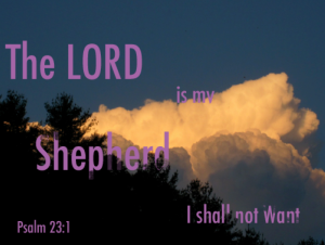 Psalm 23:1 The Lord is my Shepherd