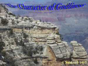 The character of Godliness 1 Samuel 16:7